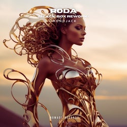 Roda - Black Box Rework