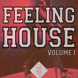 Feeling House, Vol. 1