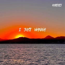 I Just Wanna
