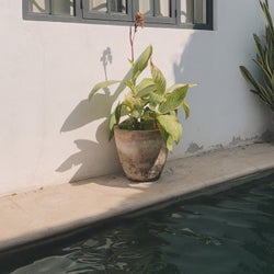 San Pancho