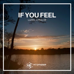 If You Feel