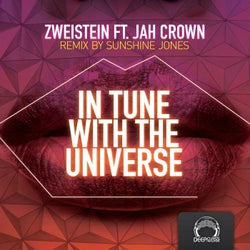 In Tune With the Universe EP (feat. Jah Crown)