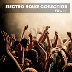 Electro House Collection, Vol. 11