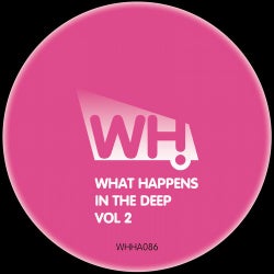 What Happens in the Deep Vol 2