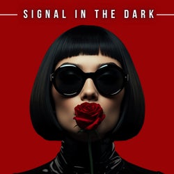 Signal in the Dark