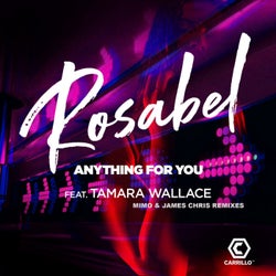 Anything For You (Mimo & James Chris Remixes)