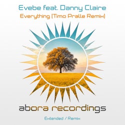 Everything (Timo Pralle Remix)