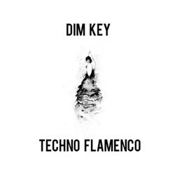 Techno Flamenco