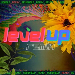 Level Up (Remixes)
