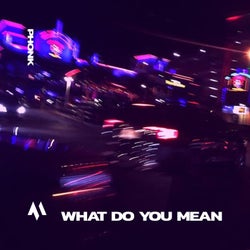 WHAT DO YOU MEAN - PHONK