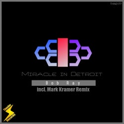Miracle In Detroit