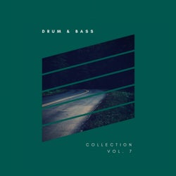 Sliver Recordings: Drum & Bass, Collection, Vol. 7