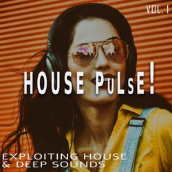 House Pulse!, Vol. 1