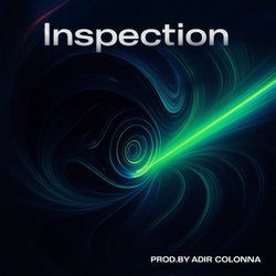 Inspection