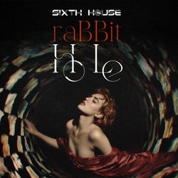 Rabbit Hole