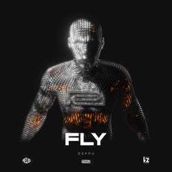 Fly