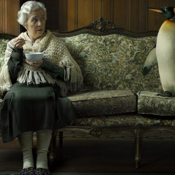 The Little Old Lady & The Penguin...