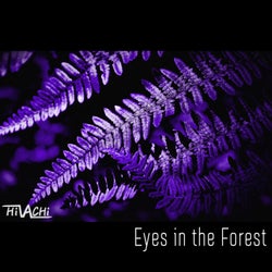 Eyes in the Forest
