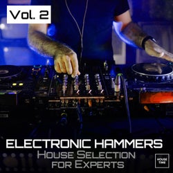Electronic Hammers, Vol. 2 - House Selection for Experts
