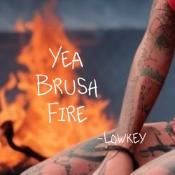 Yea Brush Fire