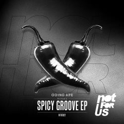 Spicy Groove EP