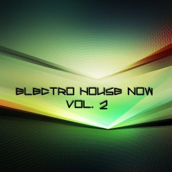 Electro House Now, Vol. 2