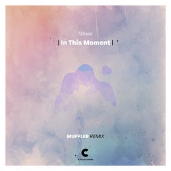 In This Moment(Muffler Remix)