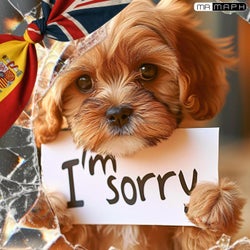 I'm Sorry (Spanglish Version)