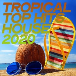 Tropical Top Hits House 2020