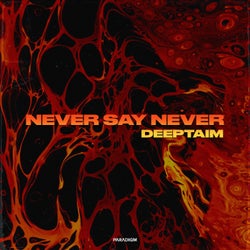 Never Say Never (Extended Mix)