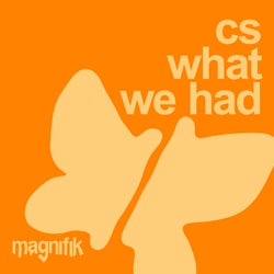 What We Had