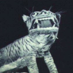 Paper Tiger