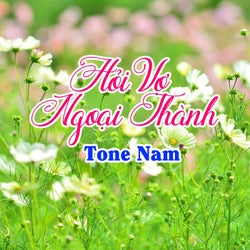 Hỏi Vợ Ngoại Thành (Tone Nam)