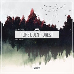 Forbidden Forest