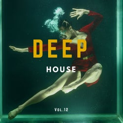 Deep House Music Compilation, Vol. 12