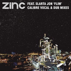 Flim (Calibre Vocal & Dub Mixes) (feat. Slarta John)