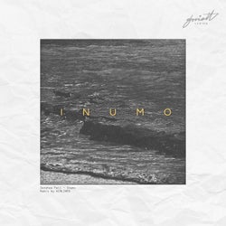 Inumo (Aiяliиes Remix)