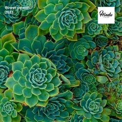 Cover für Flower Power 2021