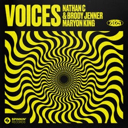 Voices (Extended Mix)