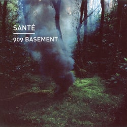909 Basement