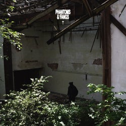 PHANTOMS & FANGS