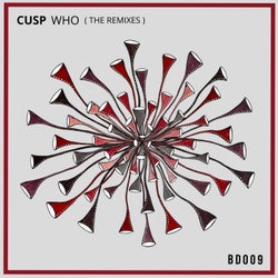 Who (The Remixes)