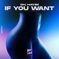 If You Want (Extended Mix)