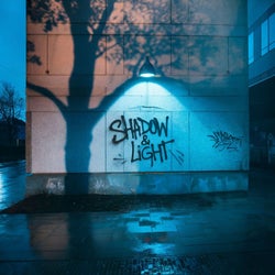 Shadow & Light