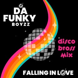 Falling in Love - Disco Bross Remix