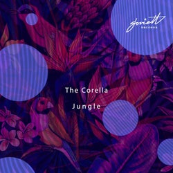 Jungle