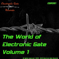 The World Of Electronic Gate Volume 1
