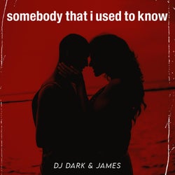 Somebody That I Used To Know