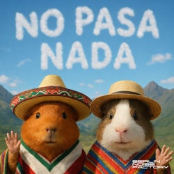 NO PASA NADA