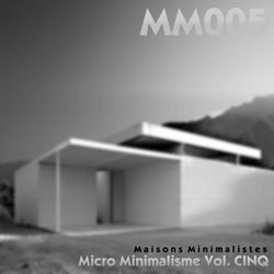 Micro Minimalisme Vol. CINQ
